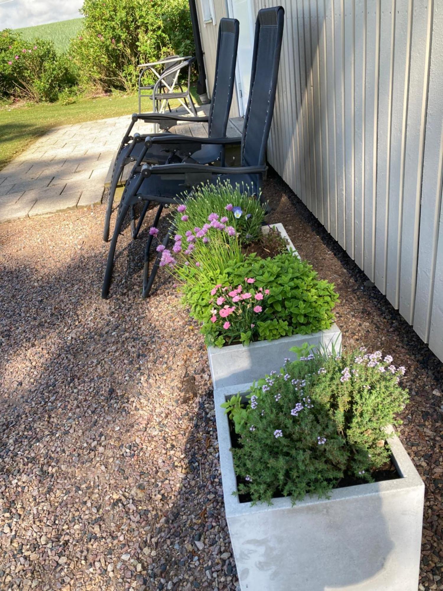 Slimmingegarden 1019 Vila Skurup Exterior foto